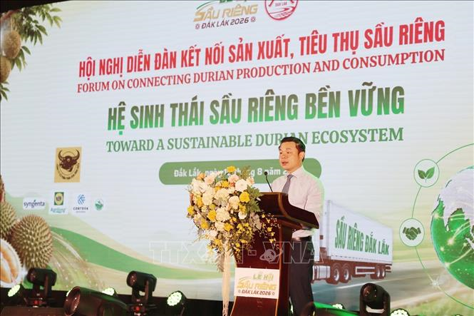 Kết nối sản xuất, tiêu thụ, xây dựng hệ sinh thái sầu riêng bền vững